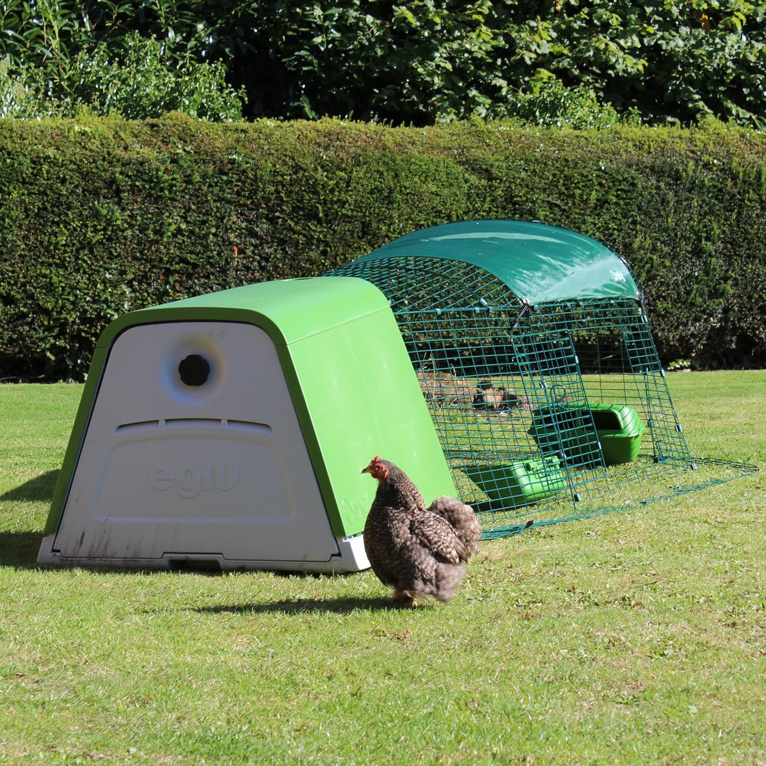 Omlet Eglu Go Chicken Coop - Image 5