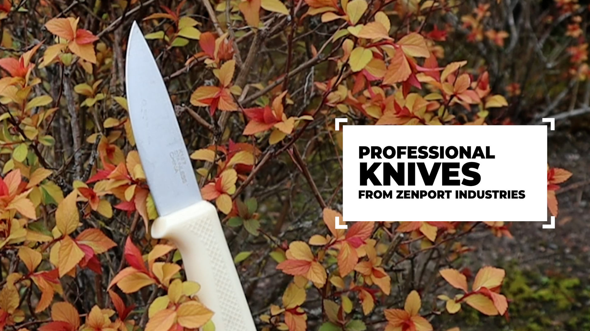 Amazon.com : Zenport K114 Crop Harvest Knife, 7.25 Inch Stainless