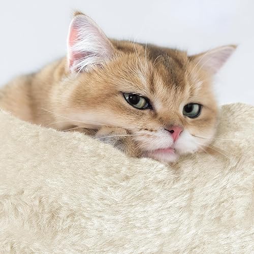 Miniatura 6 de Topeakmart Árbol para gatos, torre para gatos de 67 pulgadas de alto para gatos de interior, árbol de escalada de varios niveles con postes