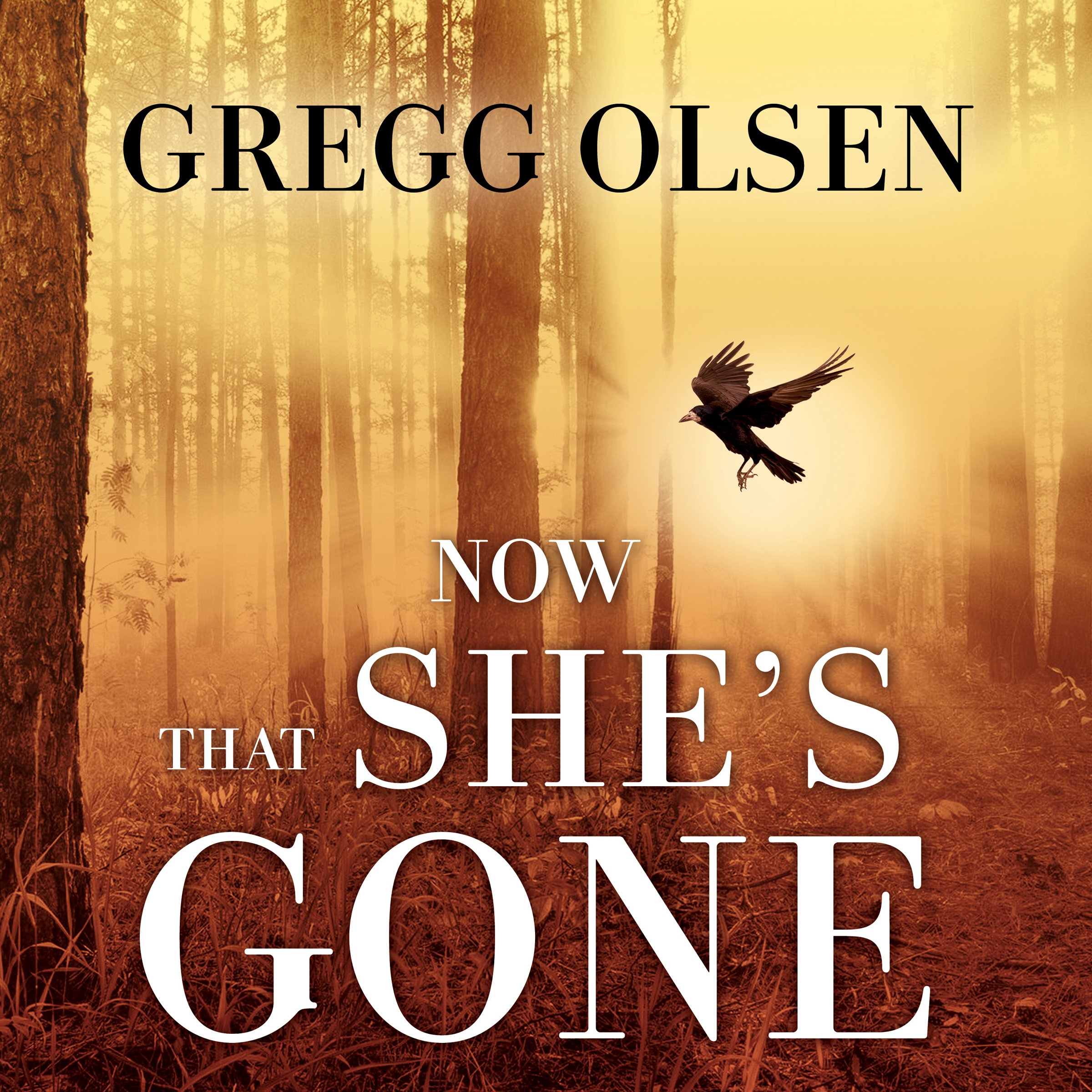 Cover art for Now That She's Gone