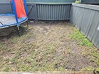 Review Image by Jamie Ortiz Jamie Ortiz