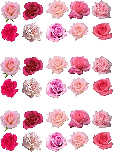 30 Mixed Pink Roses Edible Wafer Paper Cake toppers Decorations