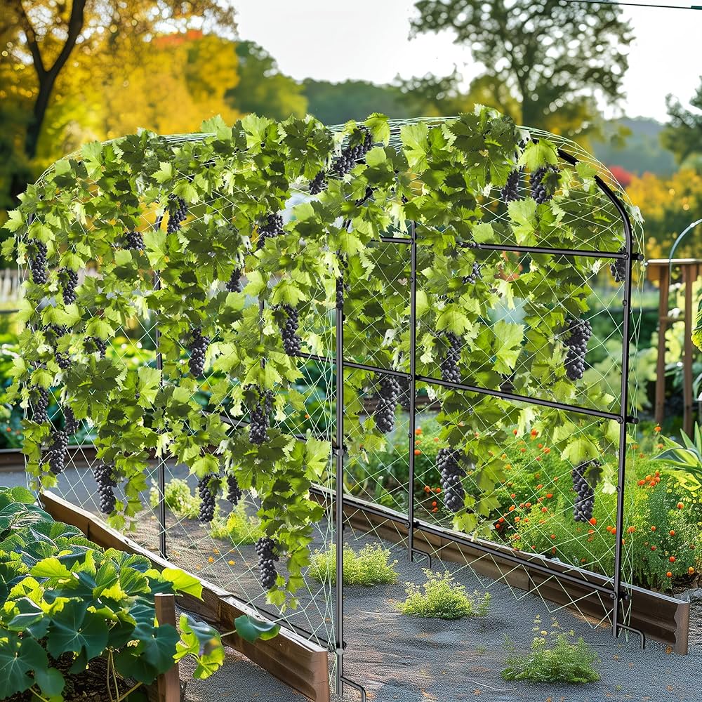 Amazon | UNHO つる棚 支柱 園芸 アーチ 家庭菜園 畑 つる棚