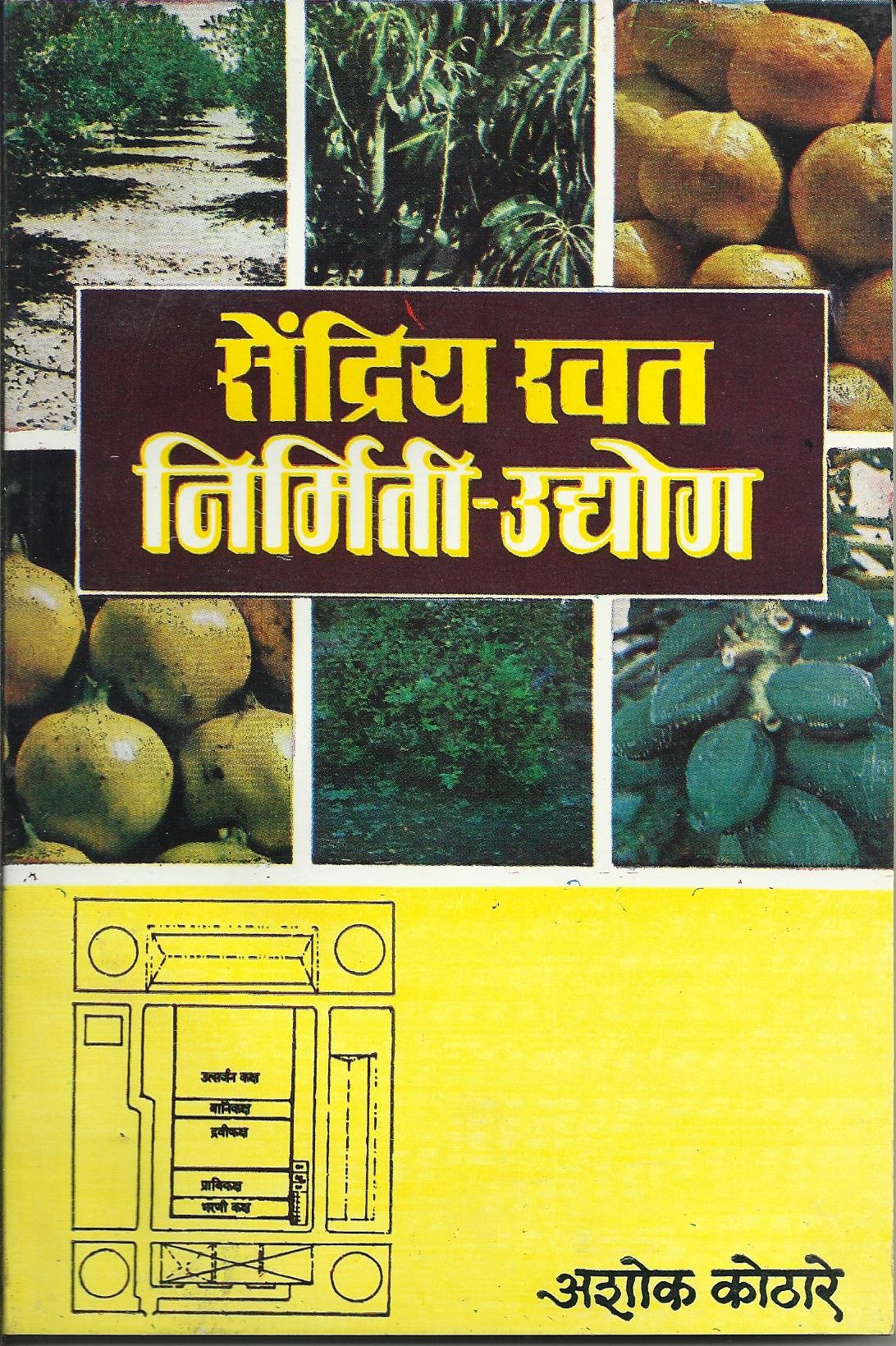 Sandriya Khet Nirmit Udyog Paperback