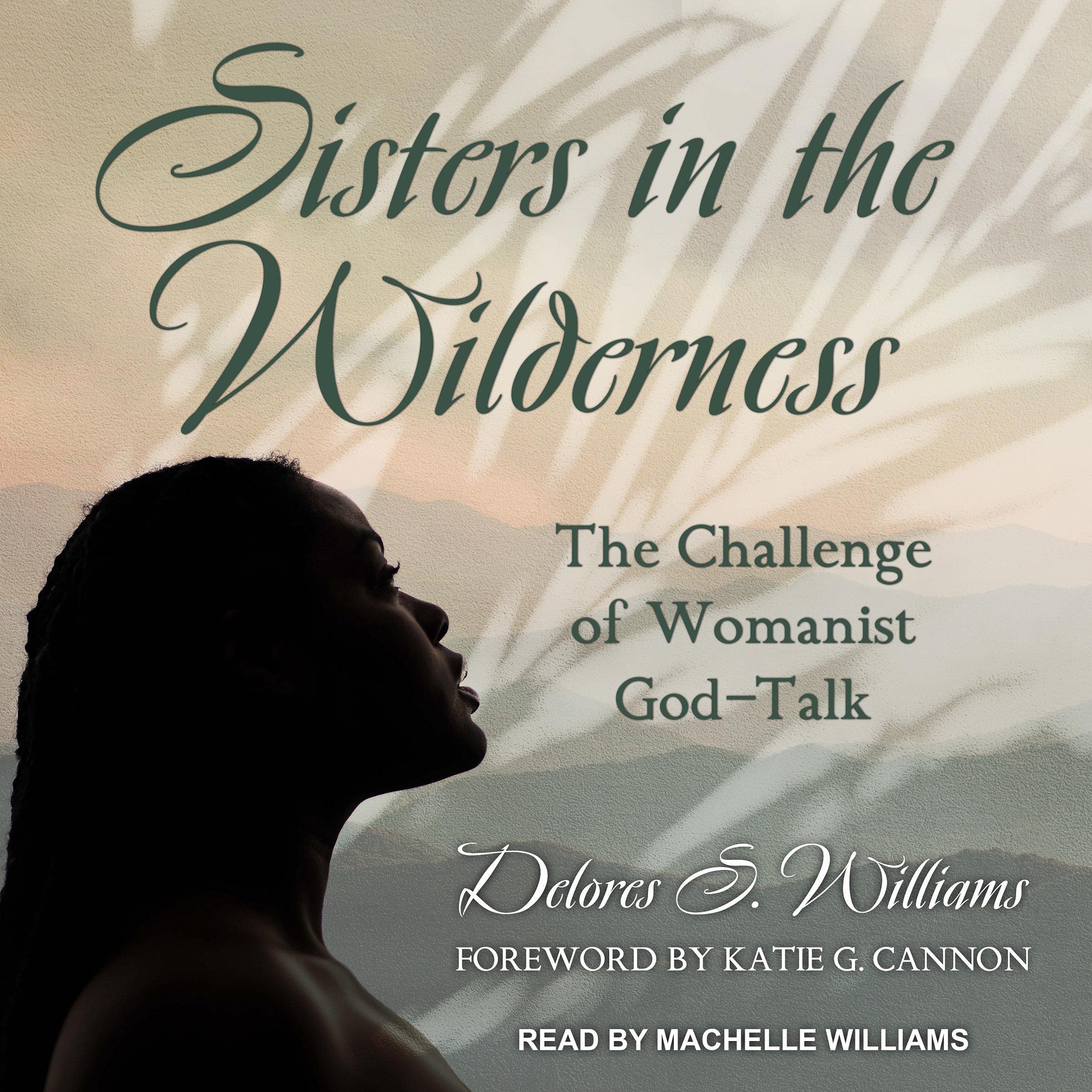 Cover art for Sisters in the Wilderness