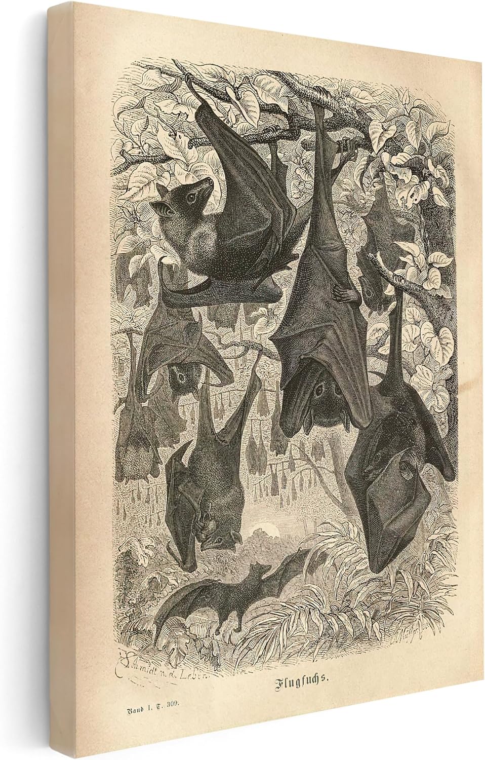 Poster Master Flying Foxes Canvas - Retro Fruit Bats Print - Gothic Bat Art - Gift for Him, Her, Animal Lover - Wall Decor for Bedroom, Living Room, Office - 8x10 STRETCHED Canvas