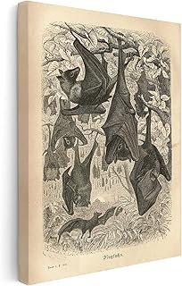 Monem Art Flying Foxes Canvas - Retro Fruit Bats Print - Gothic Bat Art - Gift for Him, Her, Animal Lover - Wall Decor for Bedroom, Living Room, Office - Available in 8x10" to 30x40"