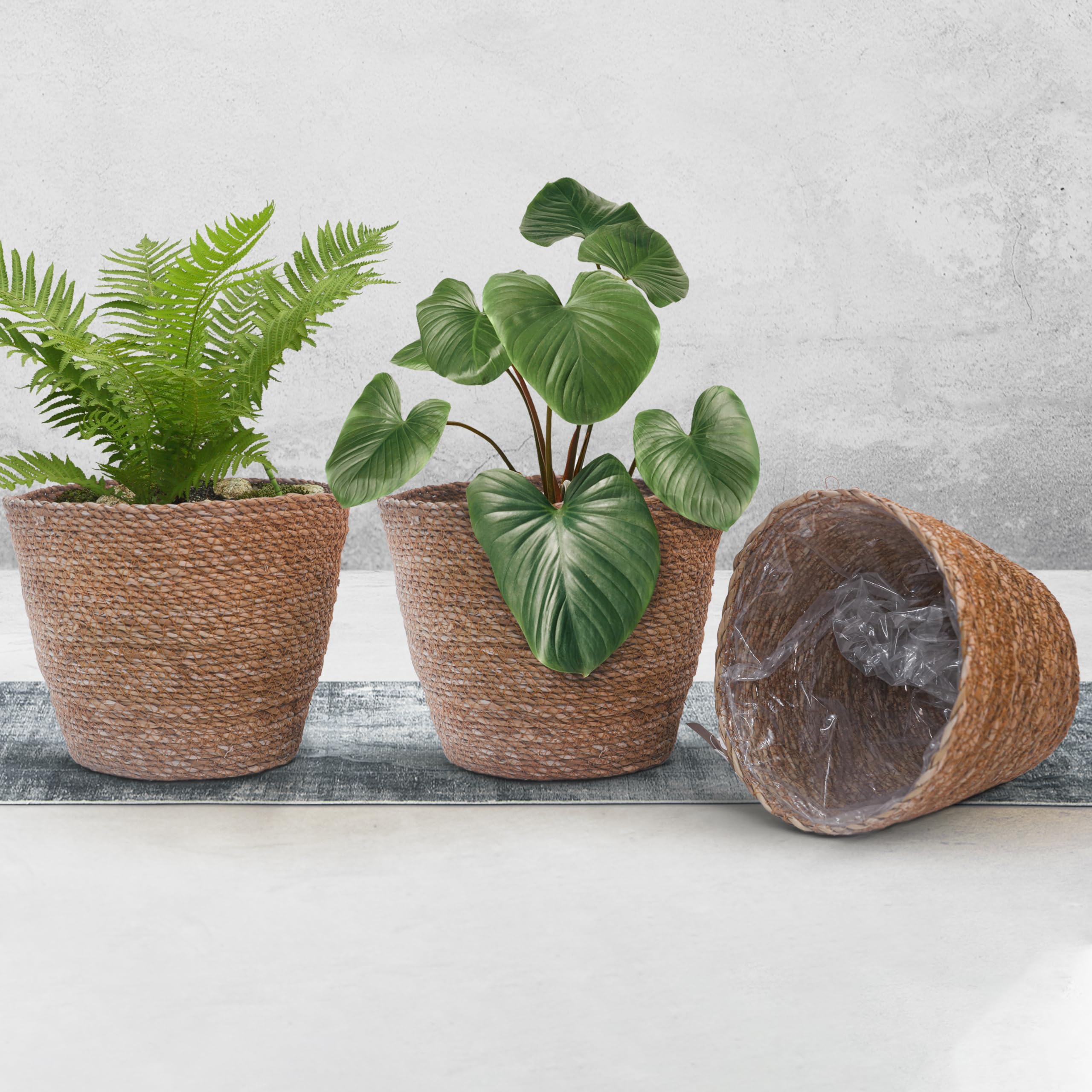 DENOVA Handmade Seagrass Planter, Sabai Grass Jute Basket Gamla for Indoor Outdoor Balcony Terrace Garden Bedroom Living Room Home Décor Round Flower Pot Storage Bin Plants Container (Pack of 3) (B0C6GRPTSJ) Amazon Price History, Amazon Price Tracker