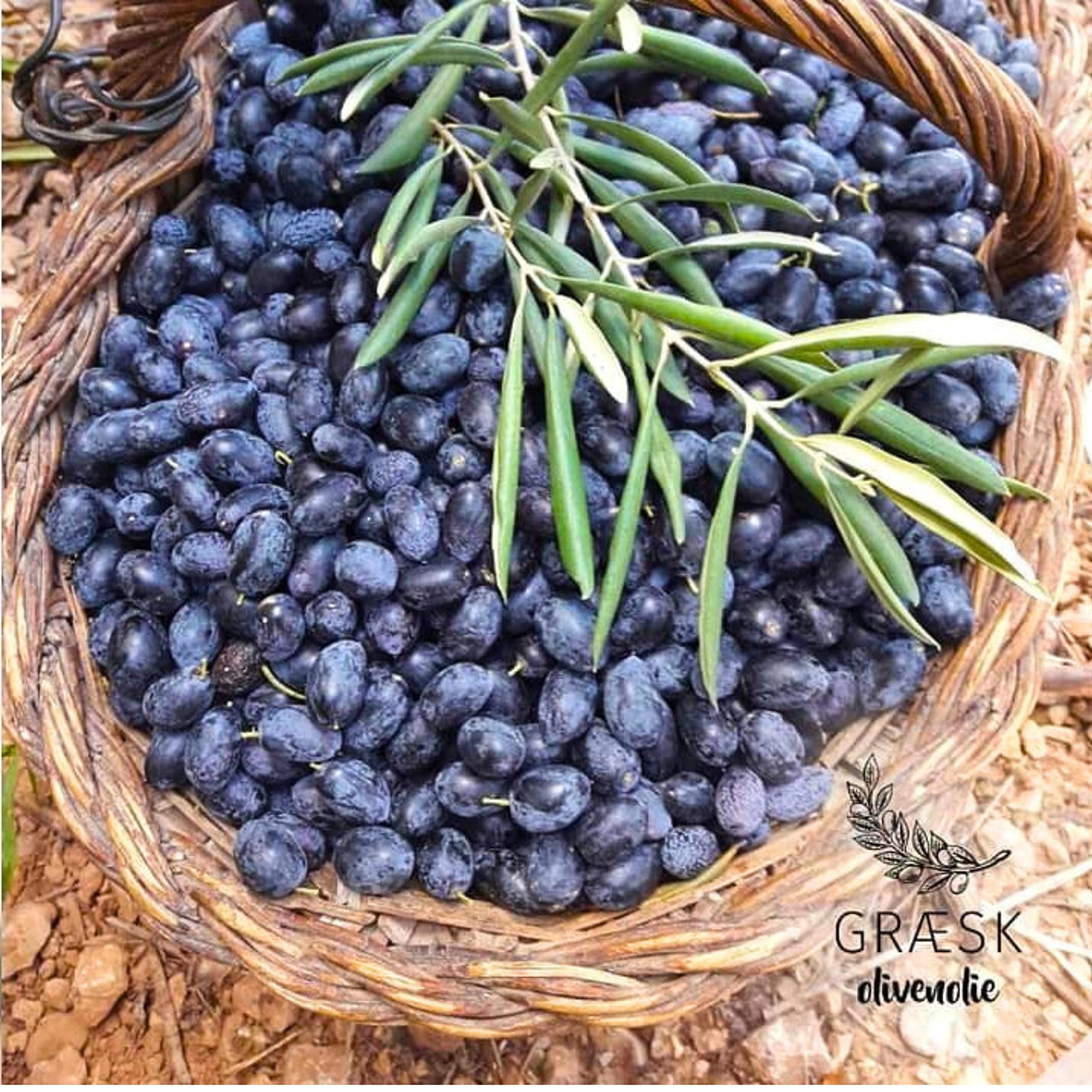 Candia Crop Aceitunas Griegas Negras Saladas Escurridas - Throuba, Paquete de 5 x 200g (Total: 1 kg) — view 9