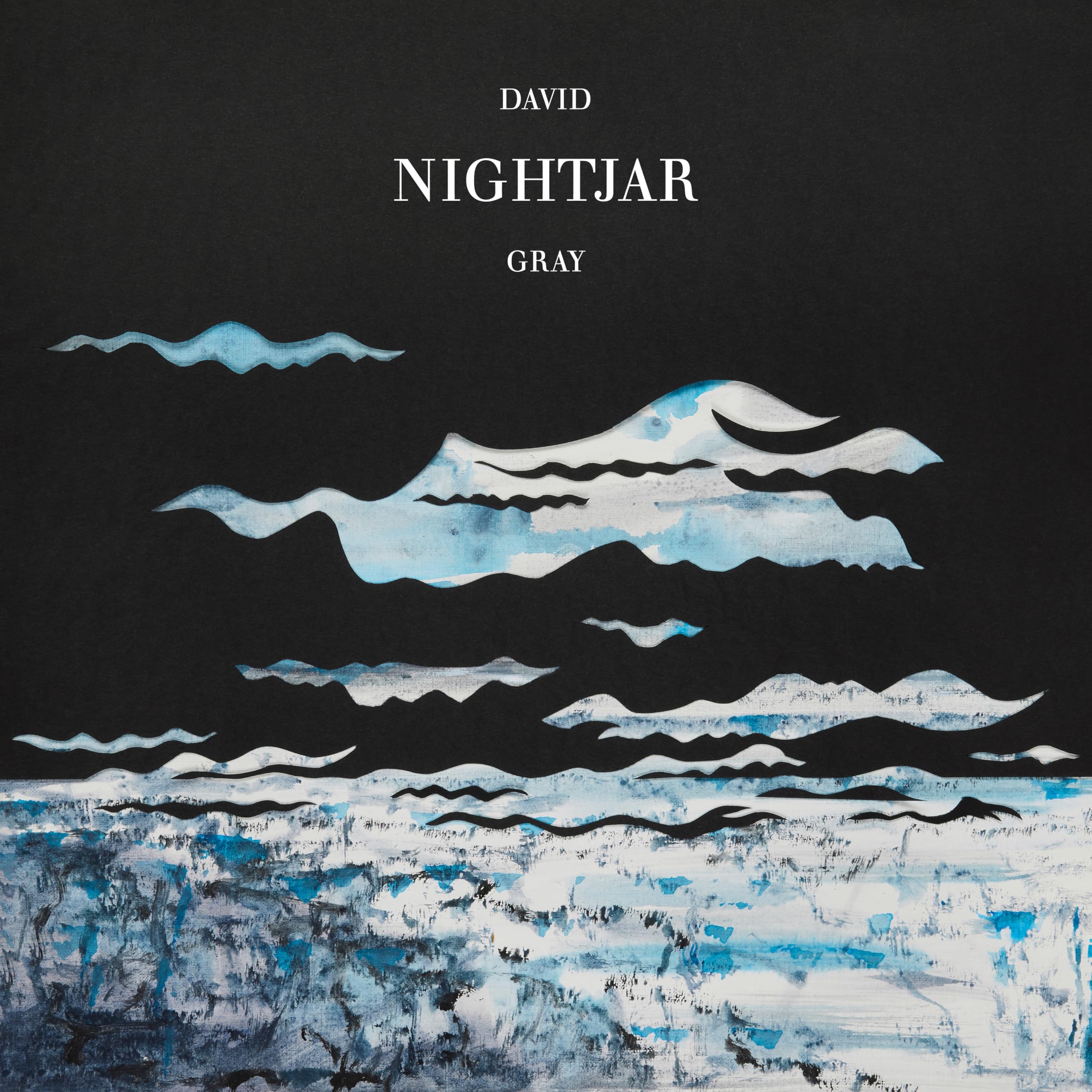 David Gray Nightjar Double LP Vinyl NEW