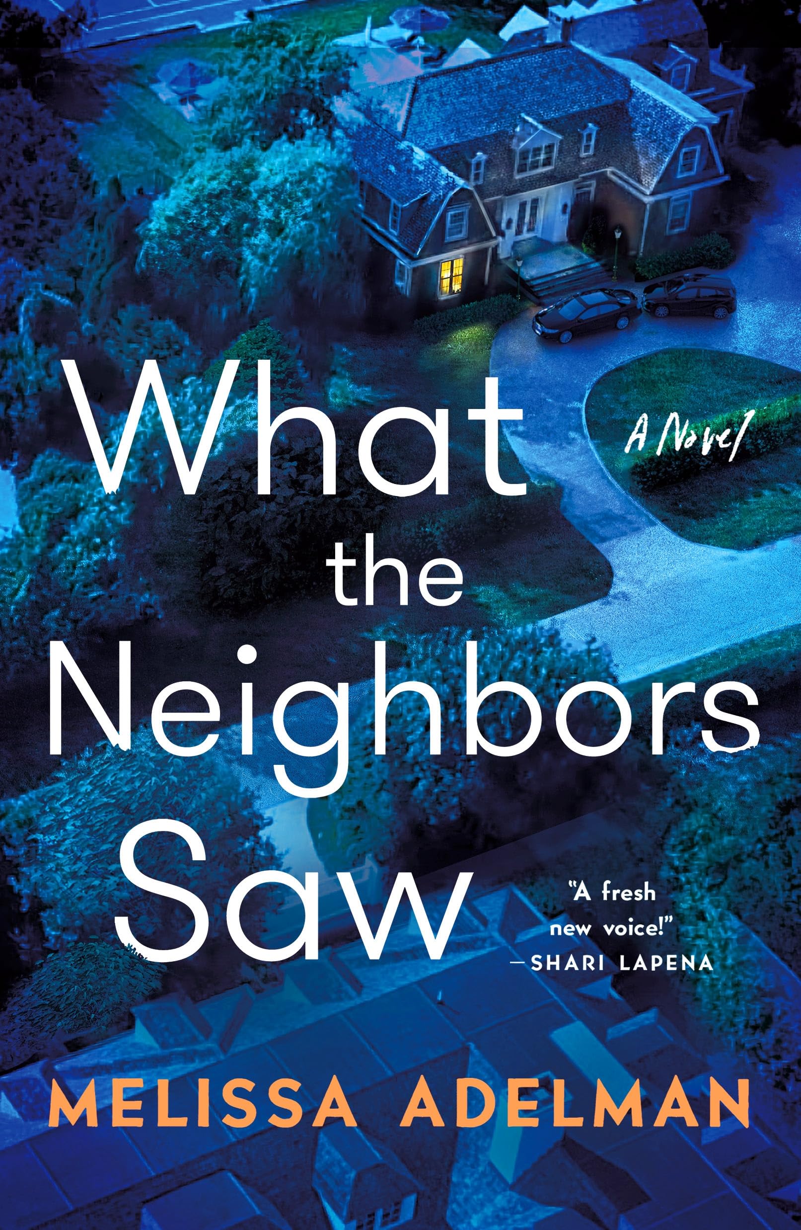 What the Neighbors Saw: A Novel