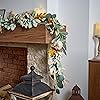Product Photo 5