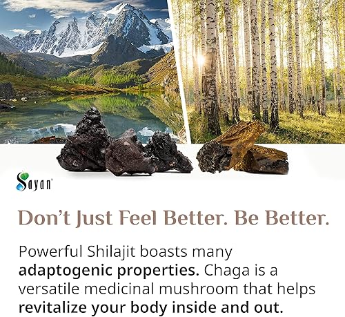 Miniatura 9 de Sayan Mezcla exclusiva de extracto de hongo chaga siberiano con shilajit, 90 cápsulas vegetarianas de 420 mg cada uno de poderosos antioxidantes,