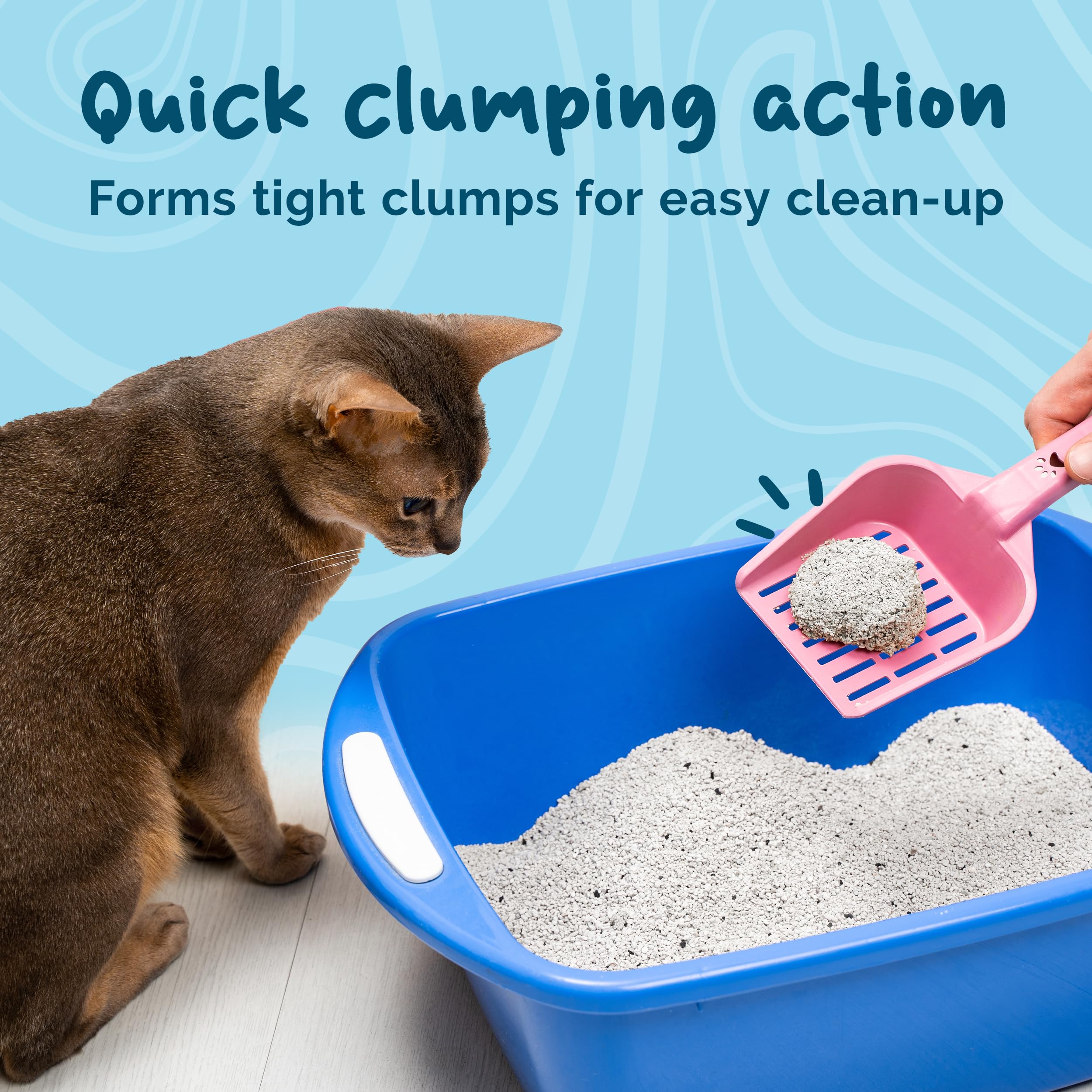 Petsentials Litière agglomérante pour chat – 10 L | Litière naturelle en bentonite pour chat pour une absorption ultra | Contrôle des odeurs | Parfum de lin frais