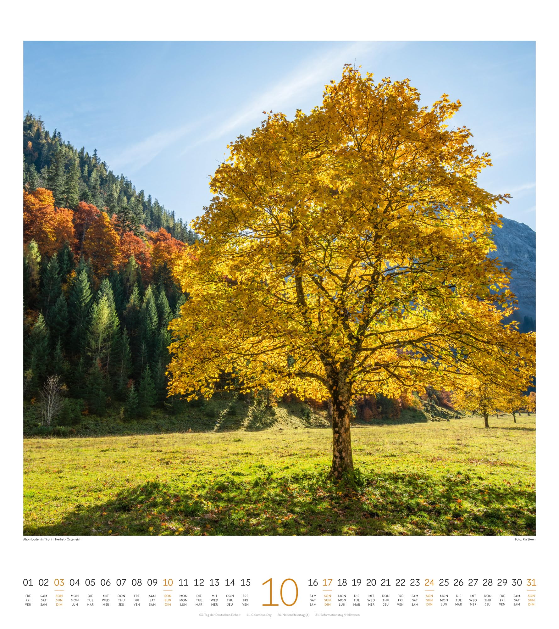 Lichtblicke Kalender 2027 | Stimmungsvoller Natur-Kalender im großen Hochformat (48x54 cm) | Landschaften im Licht der Sonne