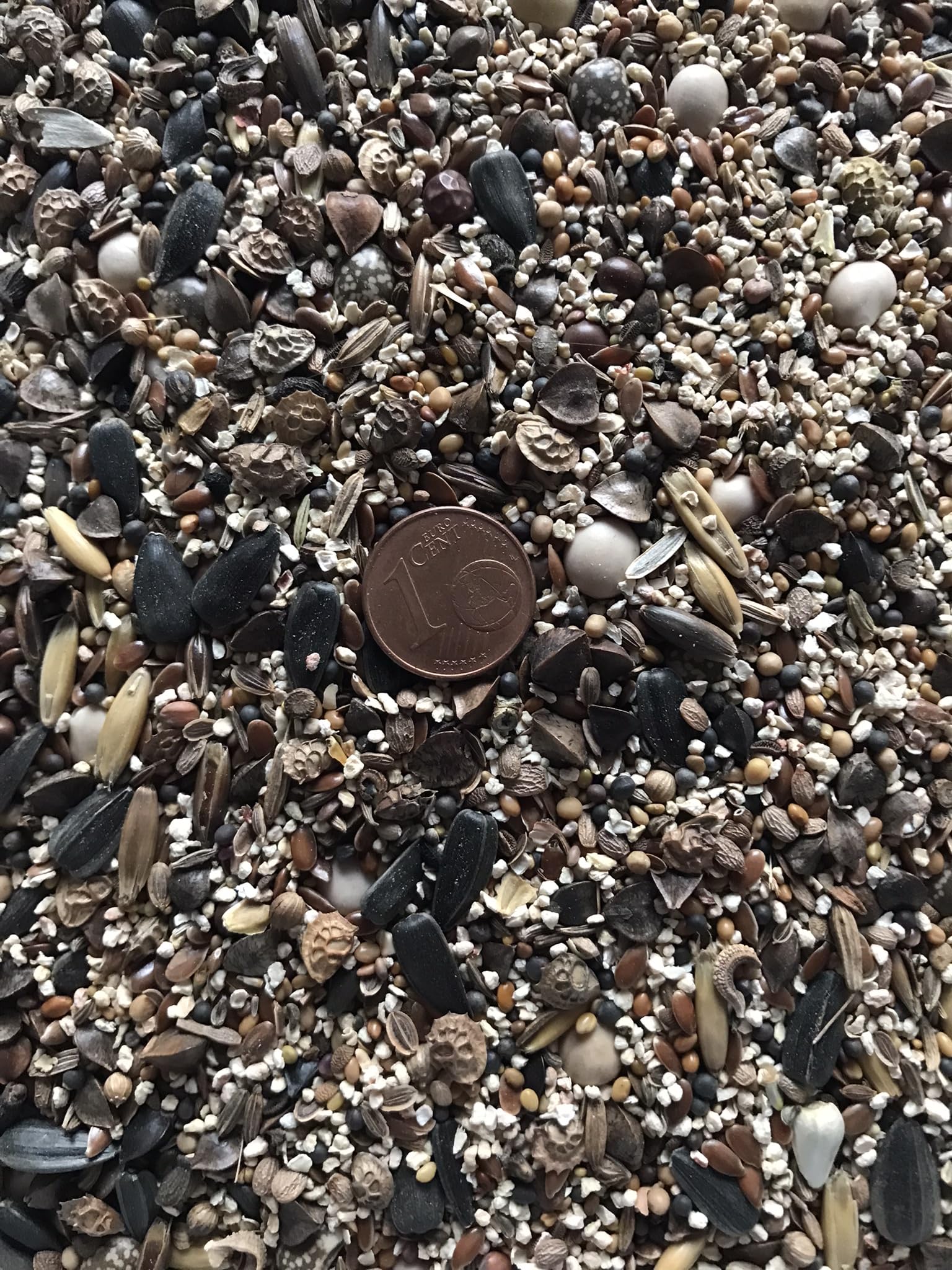 80 Sorten Imker Bienenweide. Ähnlich Veitshöchheimer Bienenweide. (400m² = 800,0g)