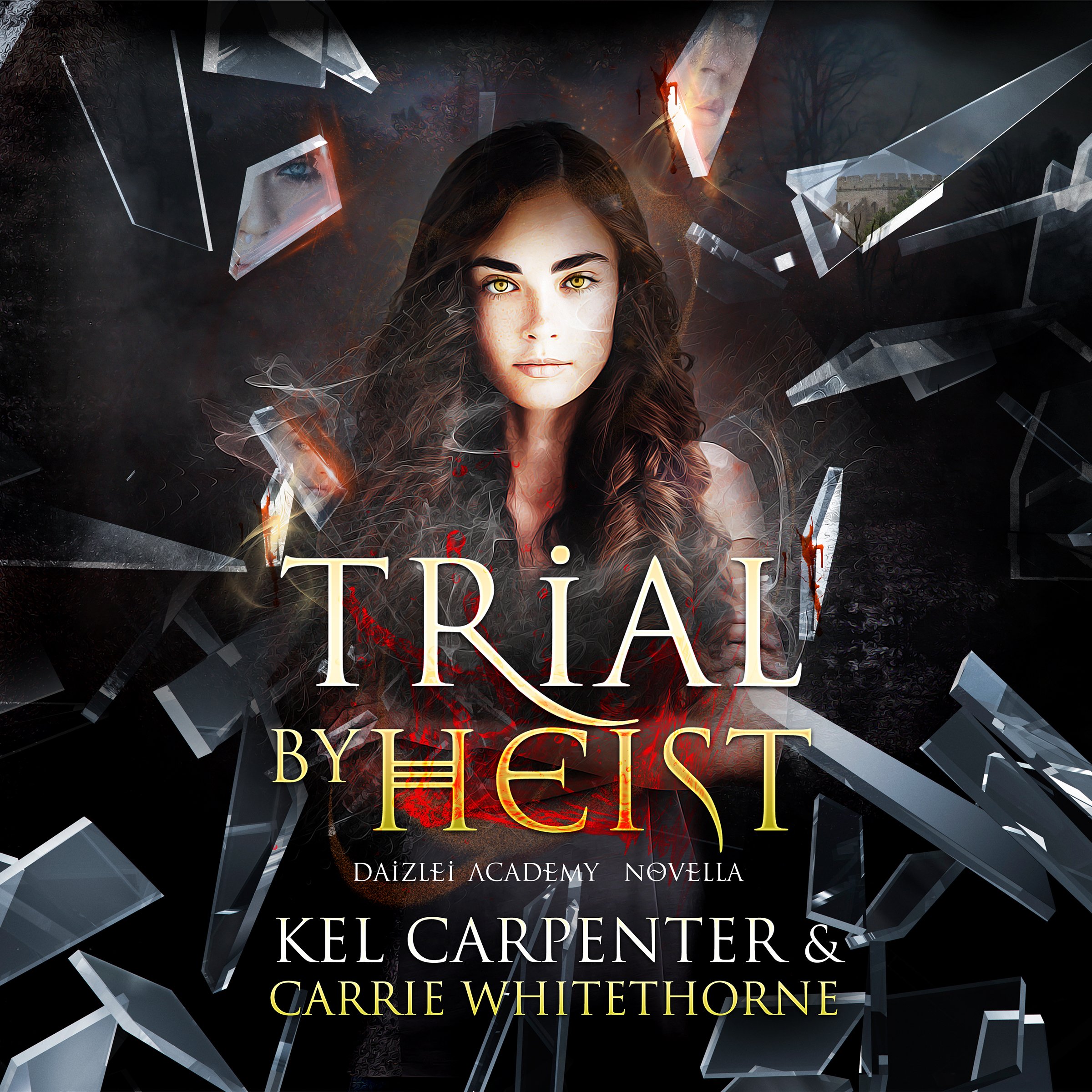 Cover art for Trial by Heist