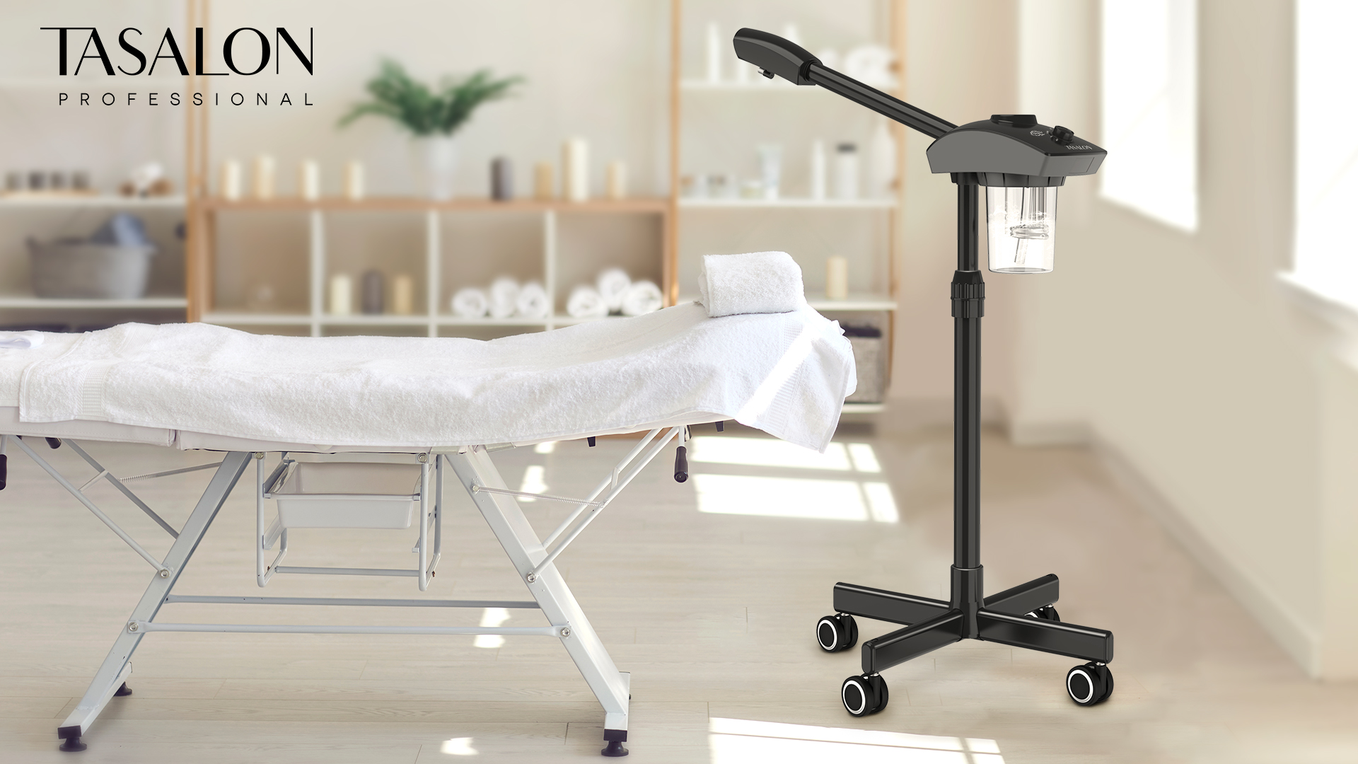 Amazon.com: TASALON Ionic Facial Steamer, Professional Face