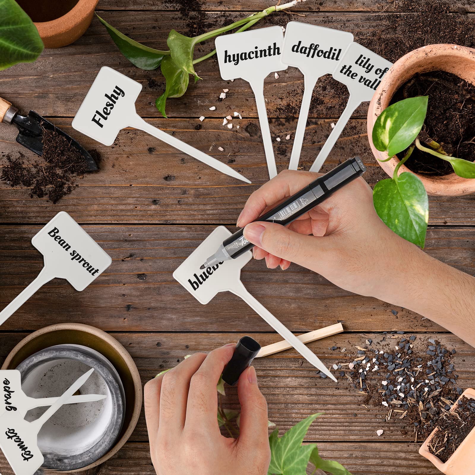 Etichette Per Piante In PVC - 80 Pezzi Impermeabili E Riusabili