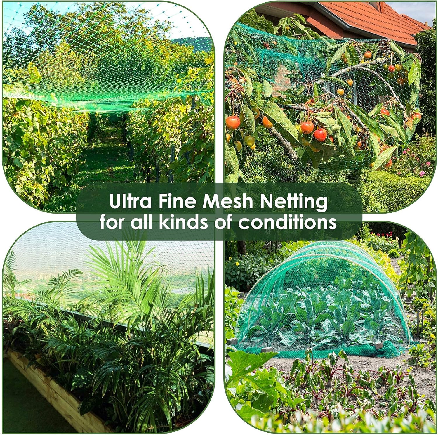 Ruolan Bird Netting for Garden Protect Vegetable Plants and Fruit Trees,Plastic Trellis Netting for Birds, Deer,Squirrels and Other Animals : Patio, Lawn & Garden