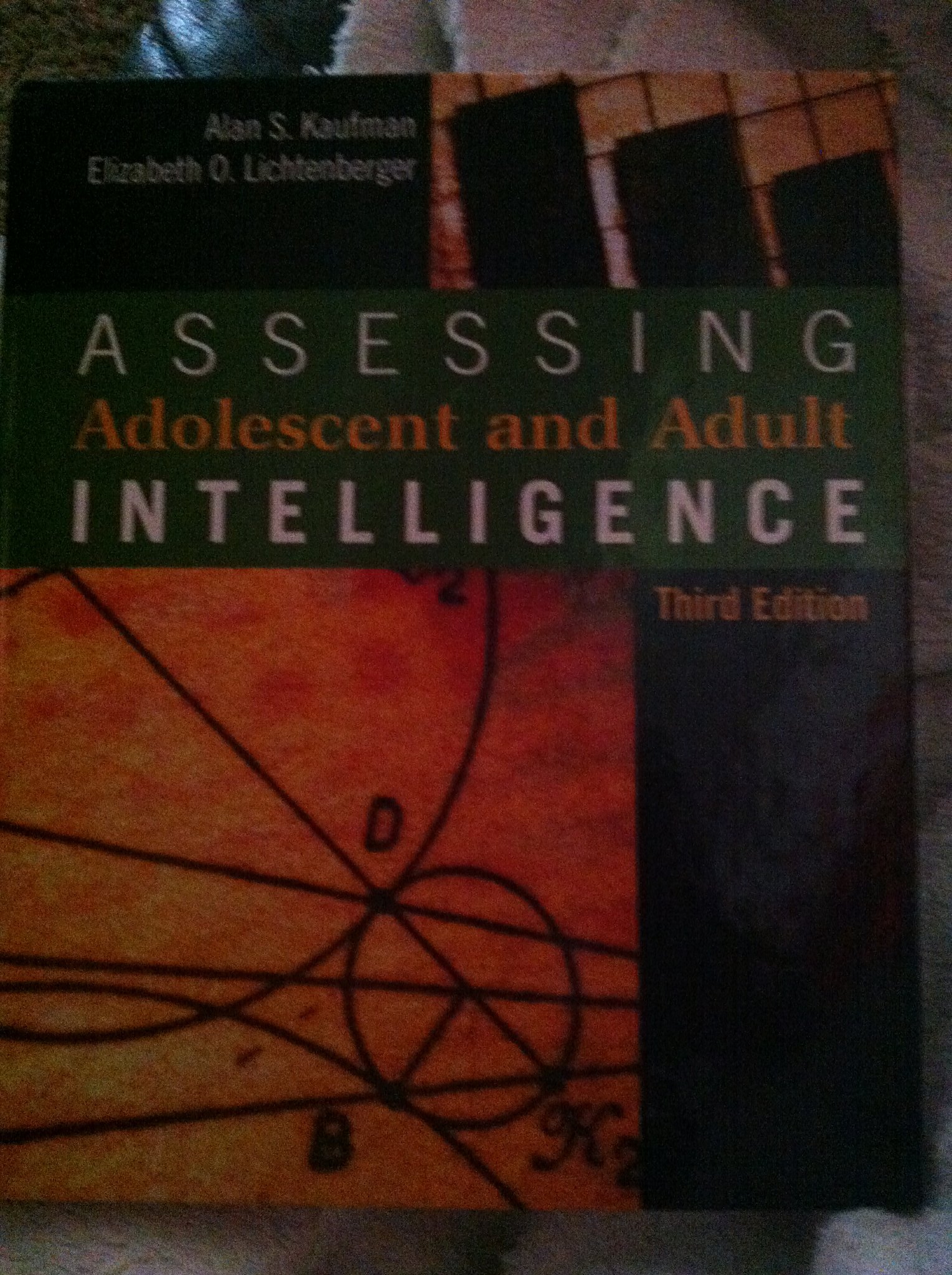 Scheletens & abbenes case publishing 絶版 Zeen - シュルテンス&アベネス | Case Publishing - 表現としての本