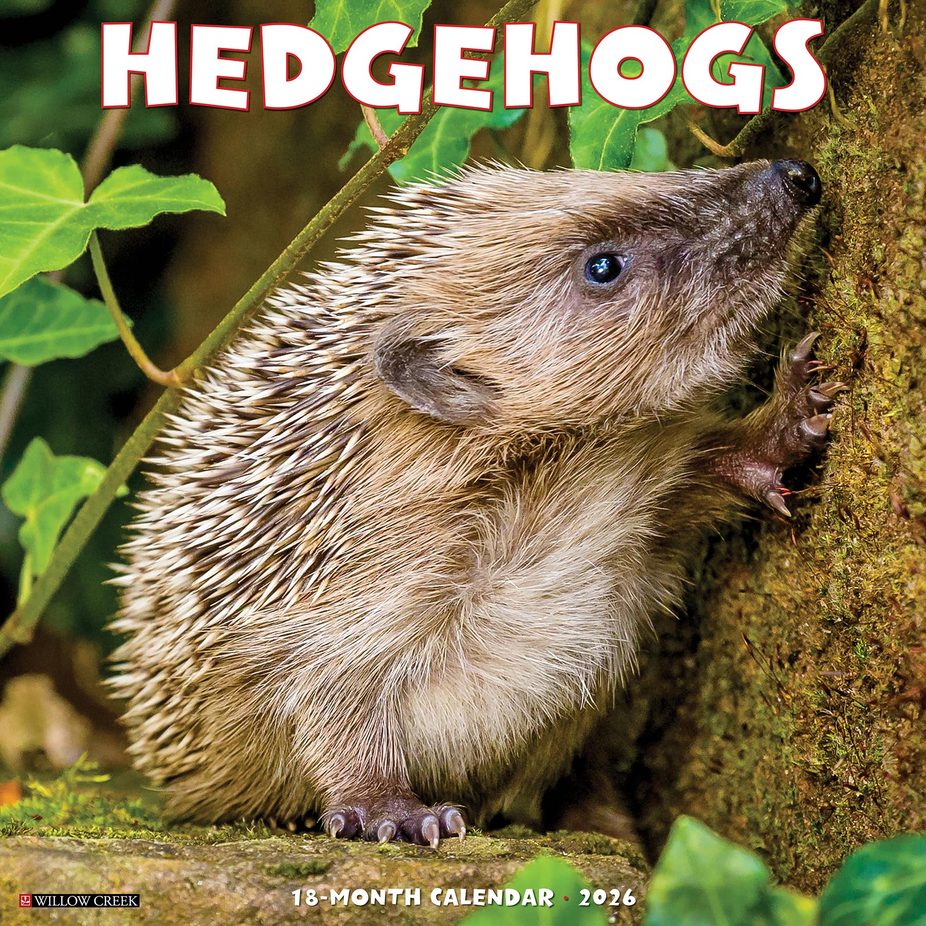 Hedgehogs 2026 12 X 12 Wall Calendar