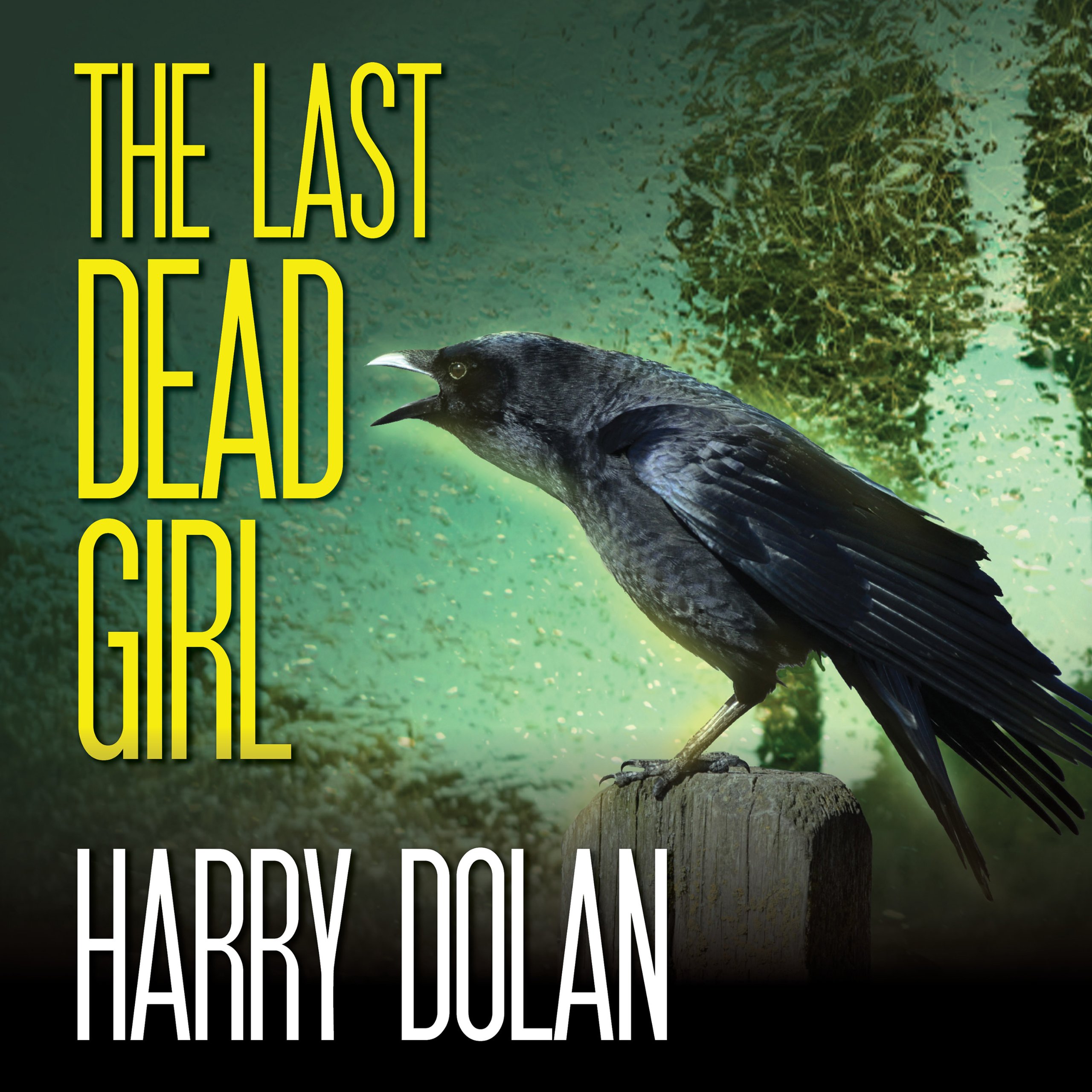Cover art for The Last Dead Girl