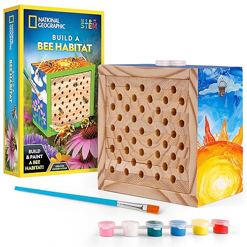 National Geographic Build a Bee Habitat Craft Kit for Kids