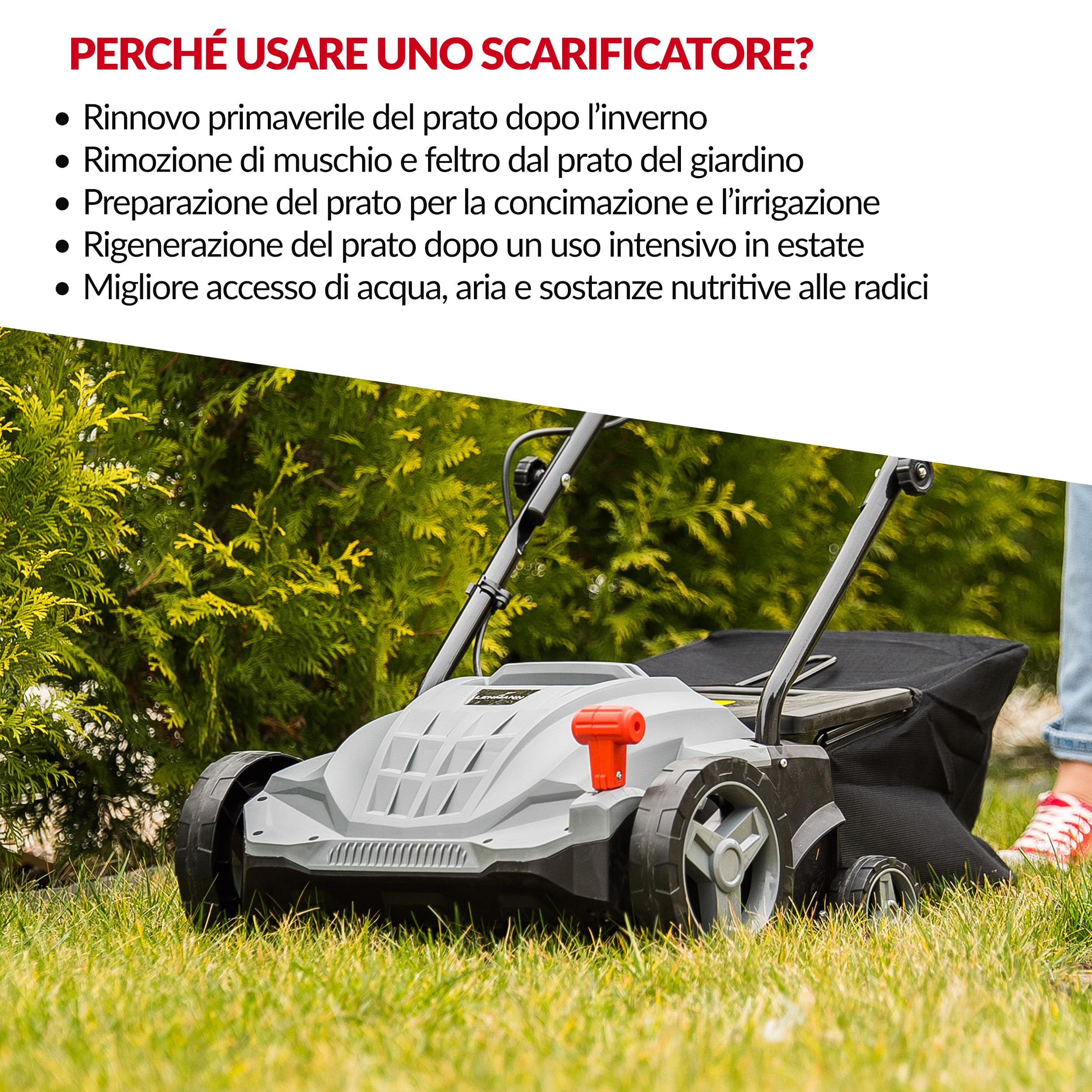 LEHMANN Alyssum Scarificatore Arieggiatore Elettrico 2 in 1, 1500 W, Larghezza 32 cm, 3000 giri/min, Cesto 30 L