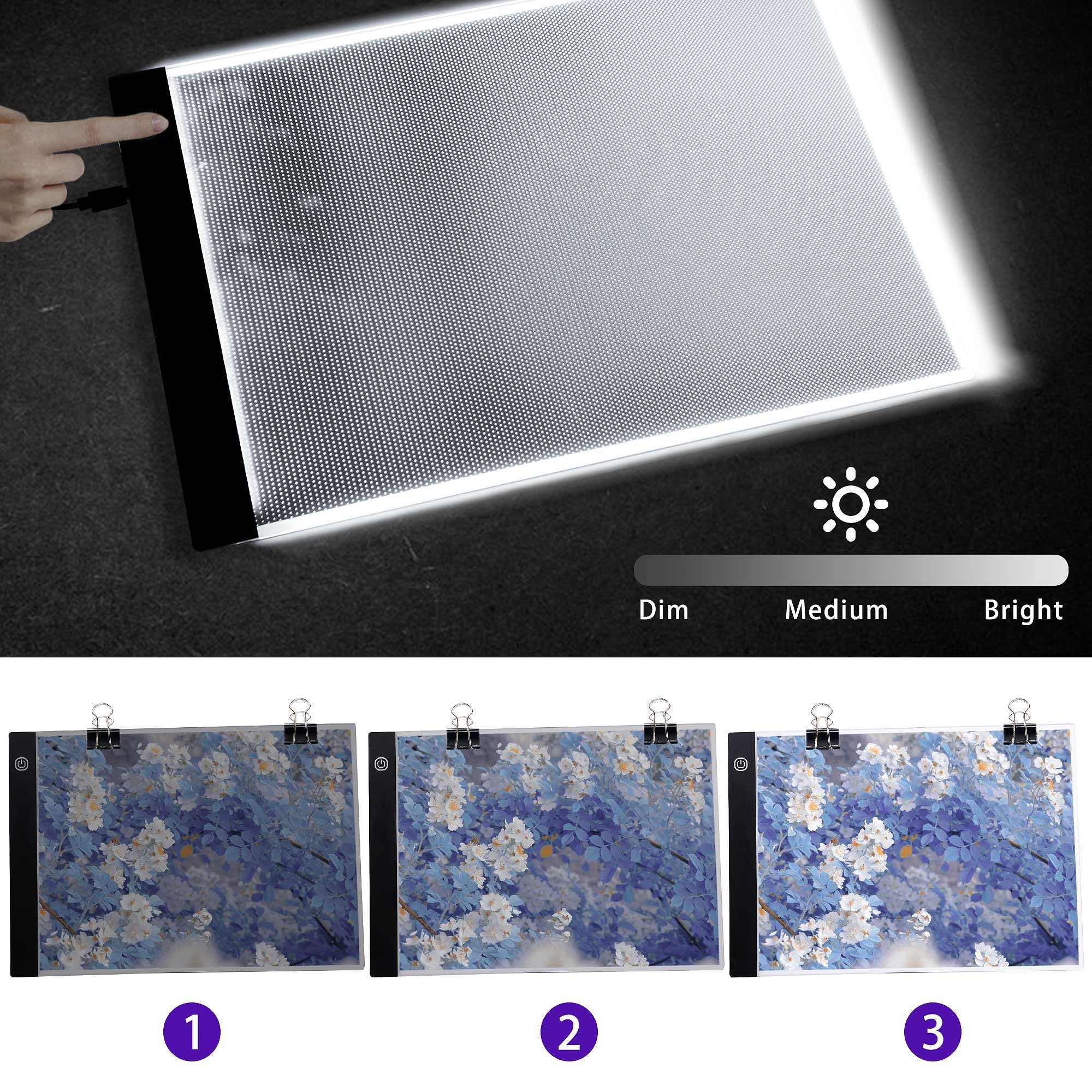 LADISHAN A4 Diamond Painting Light Board, Ultra Slim Light Pad with Diamond Art Accessories and Tools, USB Powered Dimmable Tracing Board for Diamond Painting Kits