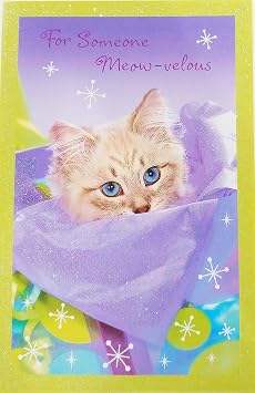 For Someone Meow-velous - Happy New Year Greeting Card w/Cat - "catnip-crazy, napping, lazy, lots-to-purr-about!"