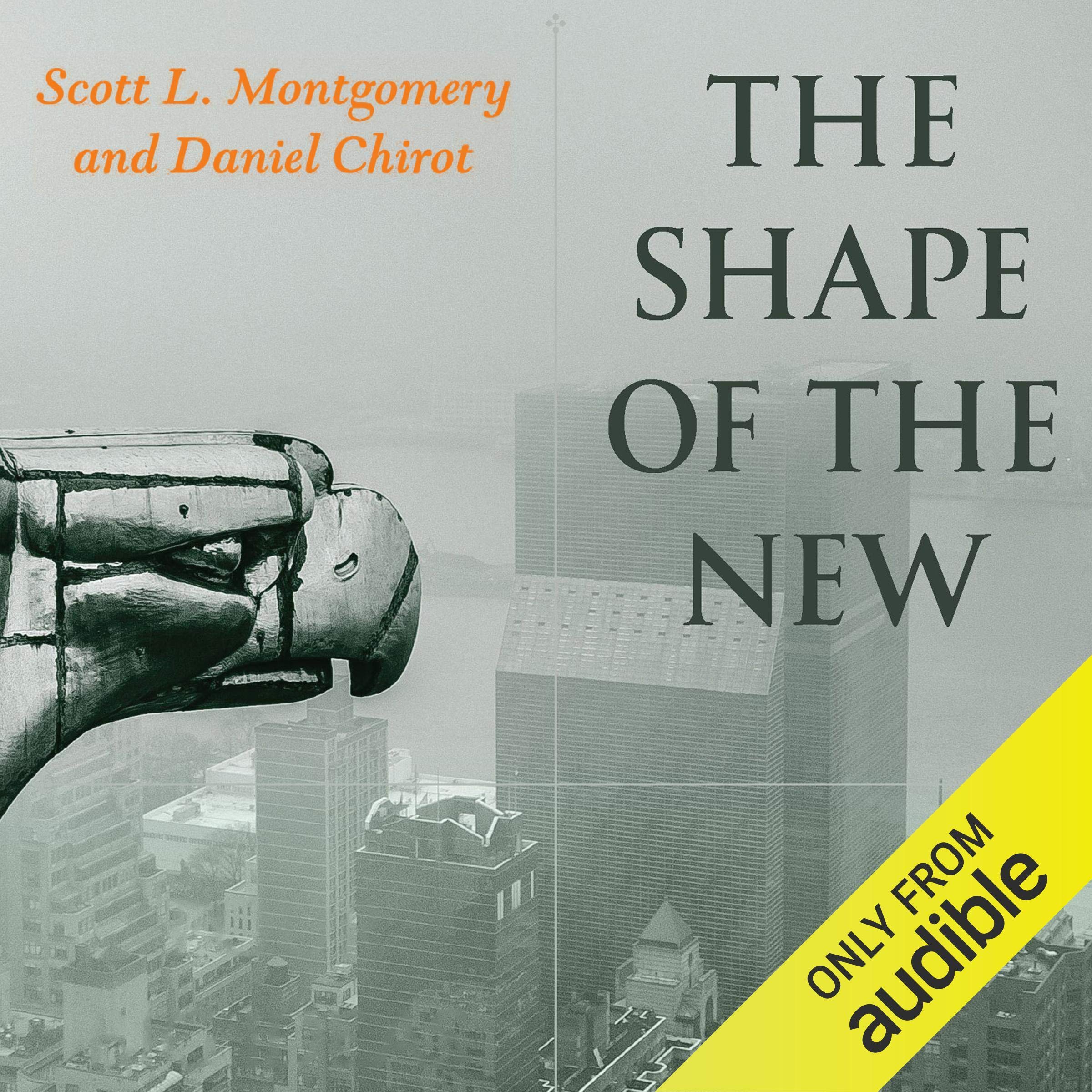 Cover art for The Shape of the New