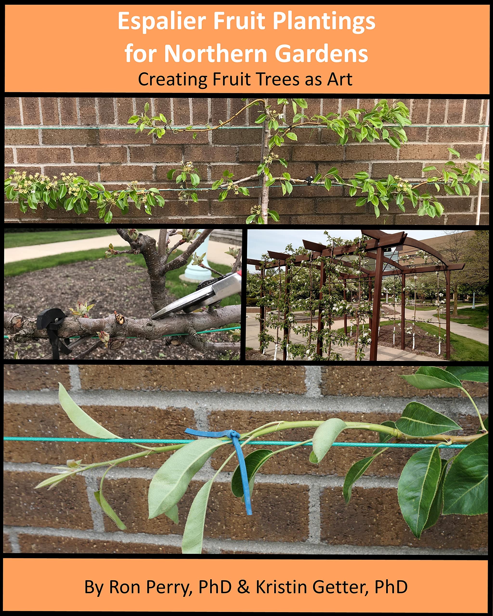 Espalier Fruit Plantings for Northern Gardens: Creating Fruit Trees as Art