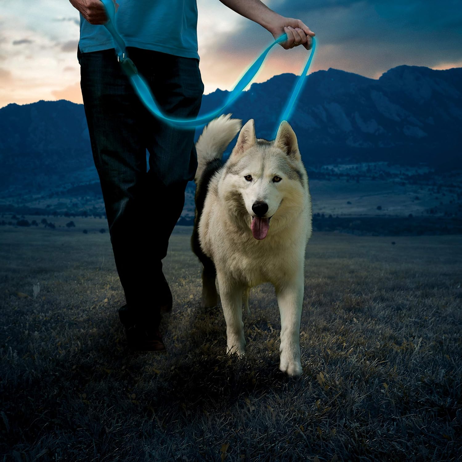 Nite Ize NiteDog Rechargeable LED Leash, USB Rechargeable 5 Foot Light Up Dog Leash w/Padded Handle, Blue