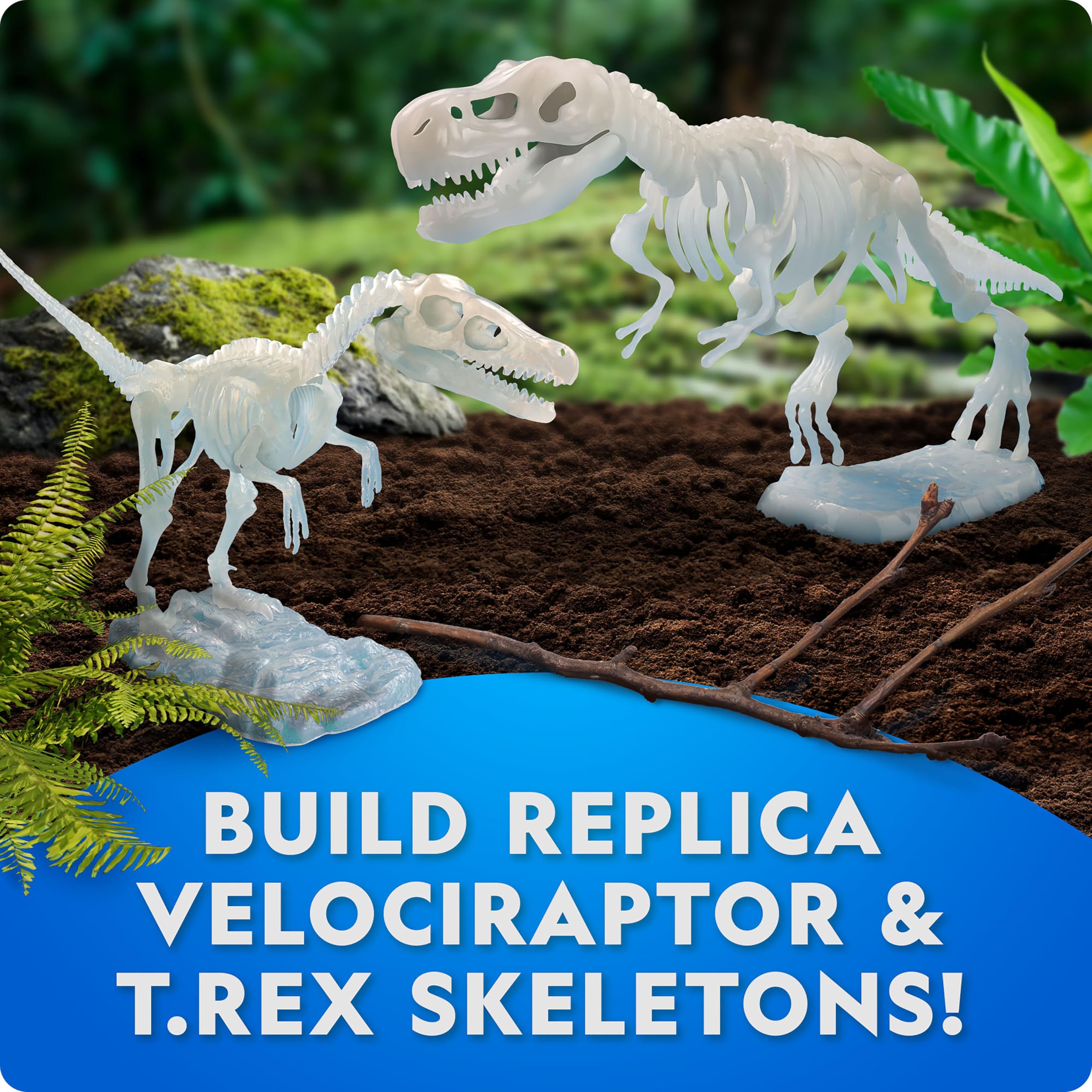 Amazon | National Geographic 暗闇で光る恐竜スケルトンモデルキット
