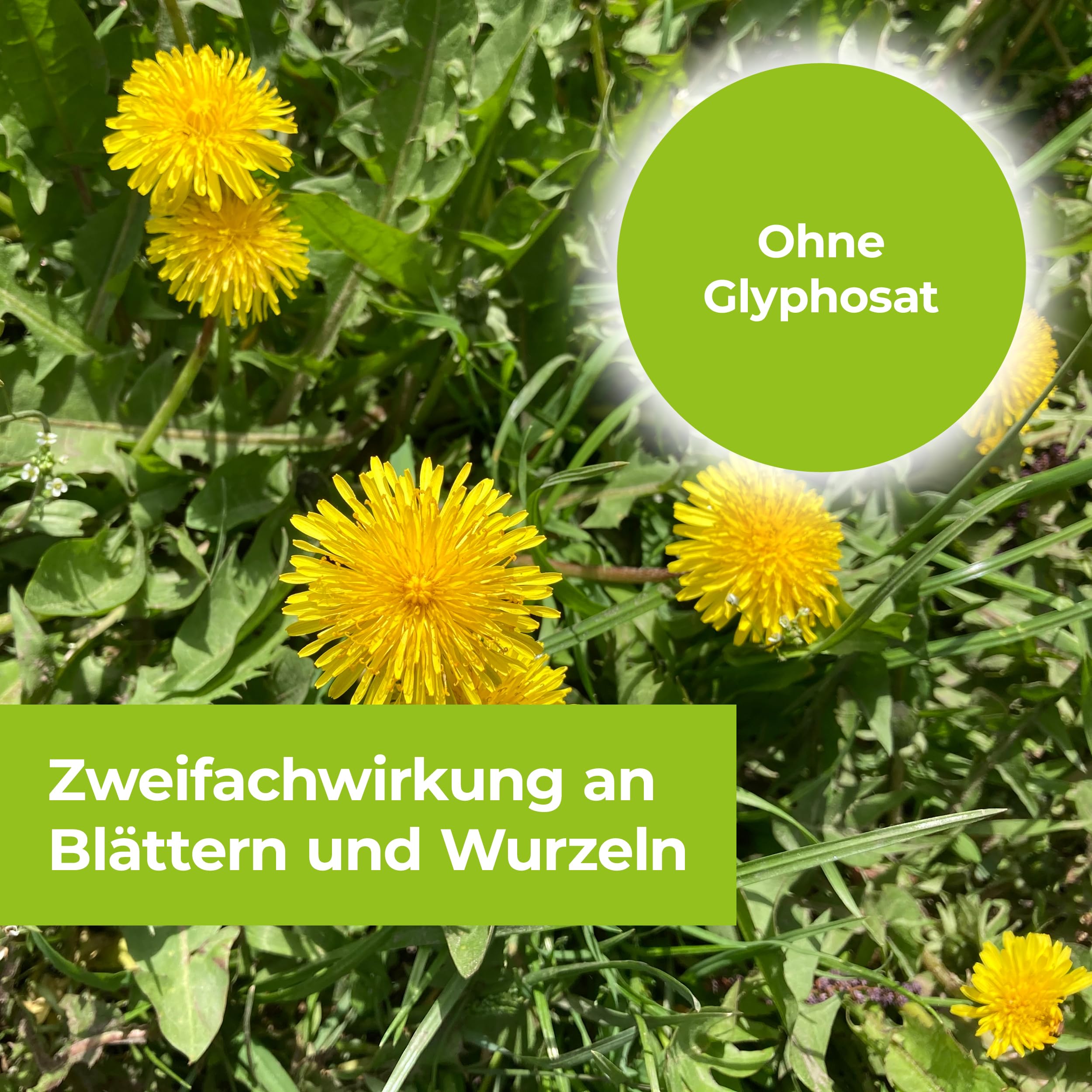PROTECT GARDEN Permaclean Duo Unkraut & Wurzel Ex AF, anwendungsfertiger Unkrautvernichter mit Zweifachwirkung gegen Unkräuter und Ungräser, 3 Liter