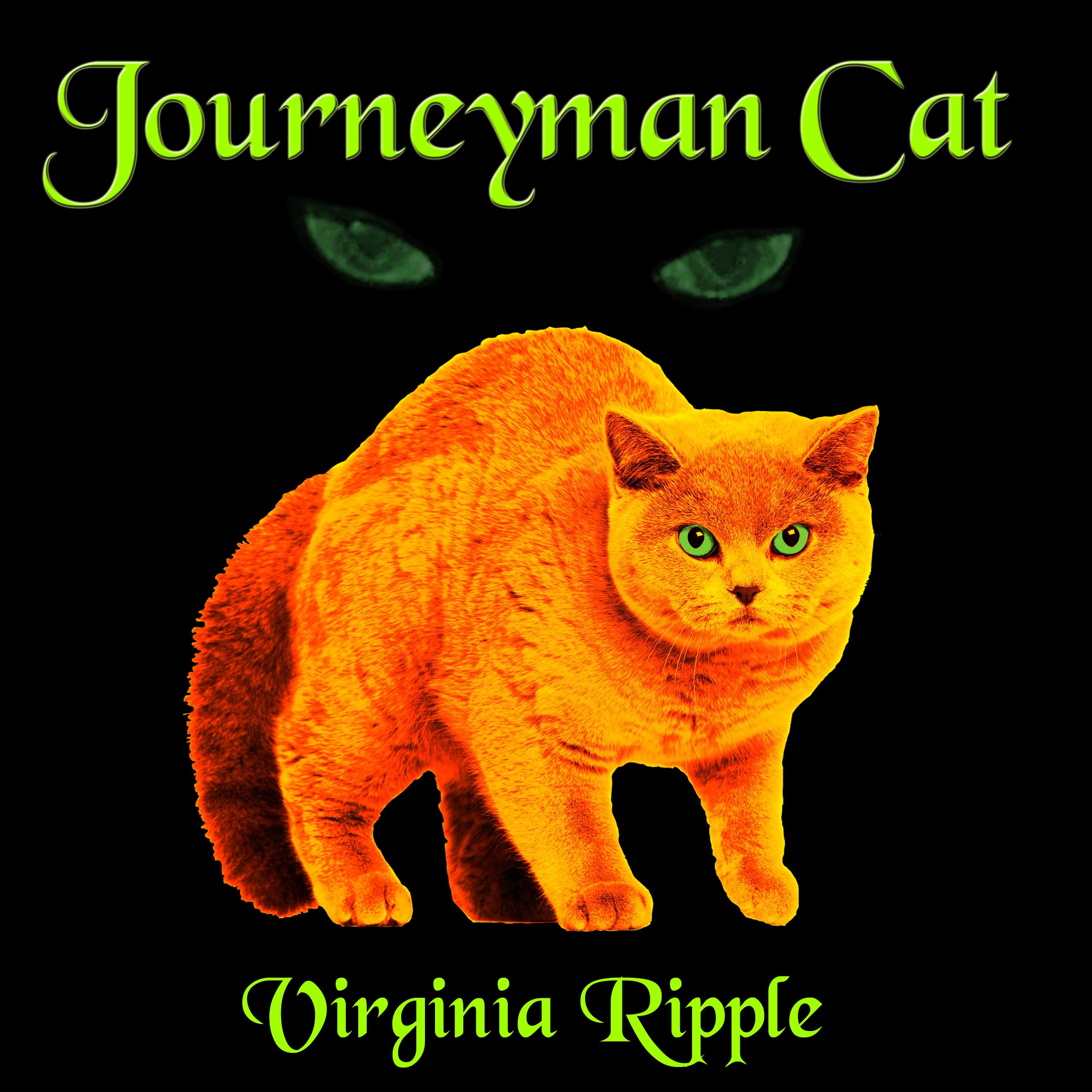 Cover art for Journeyman Cat