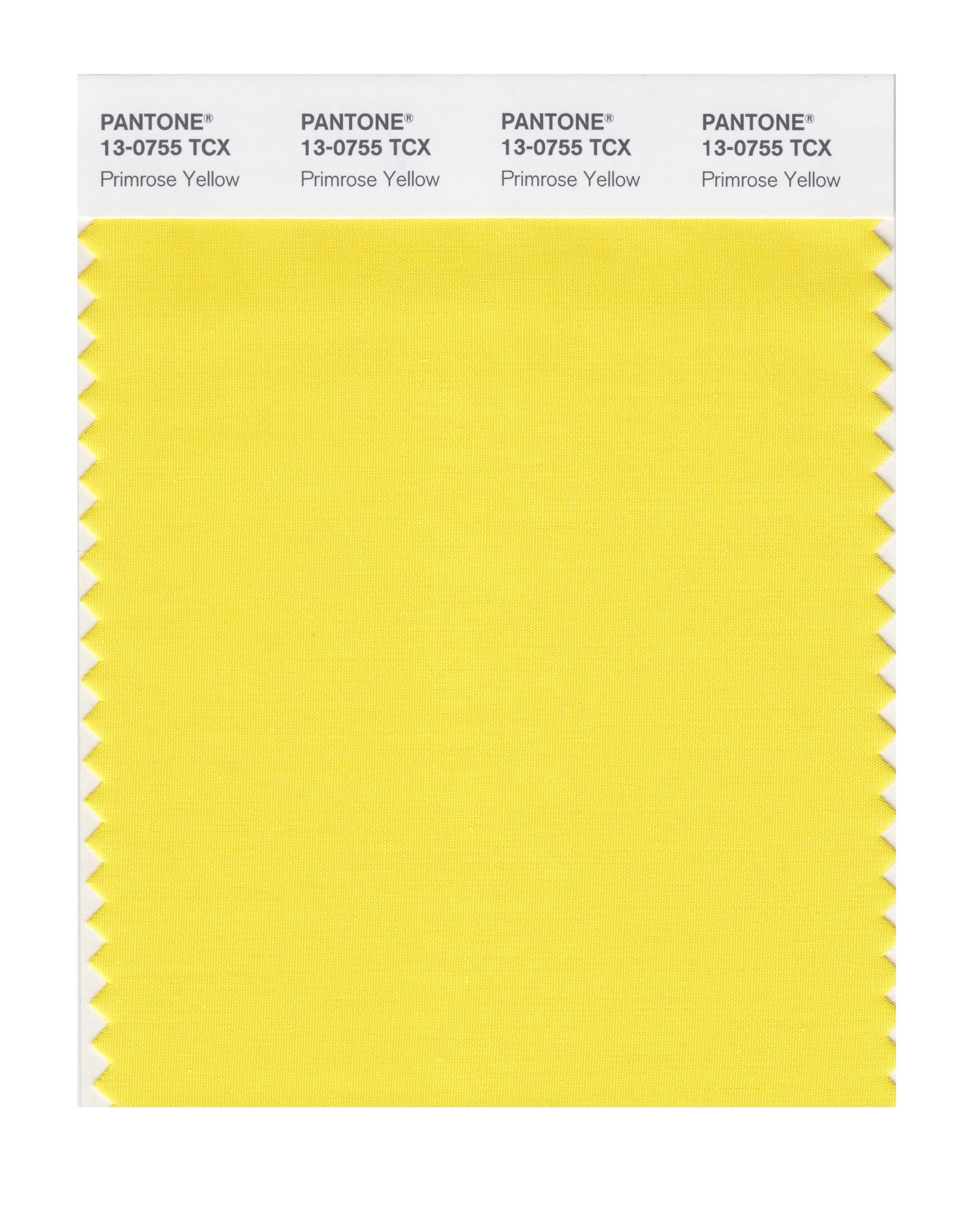 PANTONE Smart 13-0755X Color Swatch Card, Primrose Yellow - House