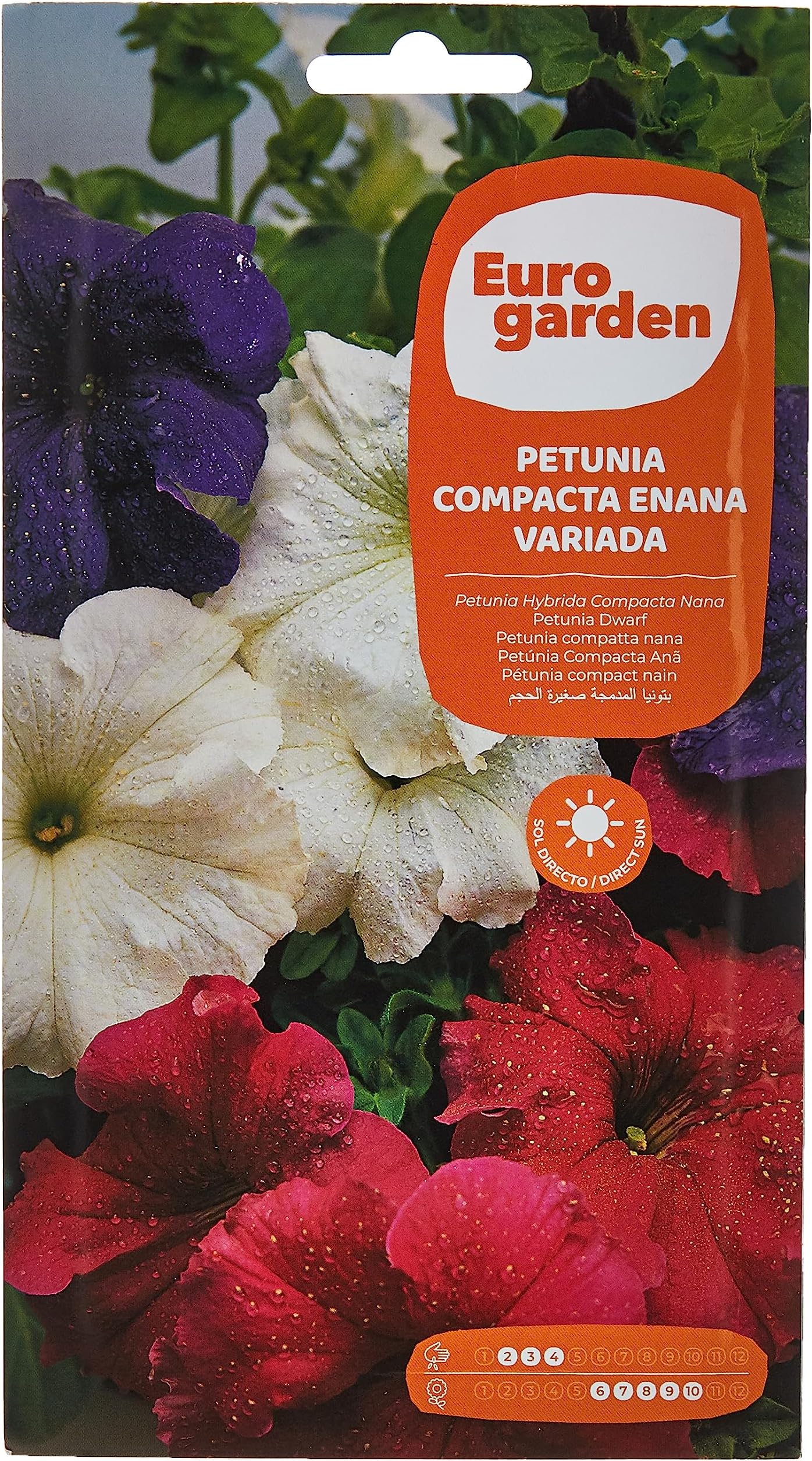 Euro Garden Petunia Dwarf Compact Mixed