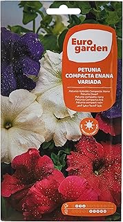 Euro Garden Petunia Dwarf Compact Mixed