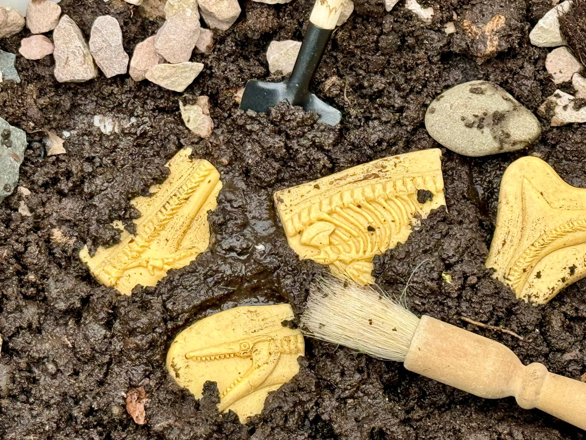 Yellow Door Dig and Discover - Pliosaur & Stegosaurus, Various, 250mm - Image 3