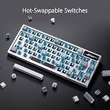 ASUS ROG Azoth Customizable Wireless Gaming Keyboard 75 Keys OLED Display ROG NX Switch Interchangeable ROG NX Switches Keyboard Stabilizers PBT Keycaps RGB Lighting Italian - 6