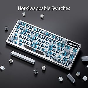 ASUS ROG Azoth Wireless Mechanical Gaming Keyboard  75% TKL, Tri-Mode Connectivity, Hot Swappable Pre-lubed ROG NX Snow Linear Switches, PBT Keycaps, RGB, OLED Display, PC/Mac Support - White