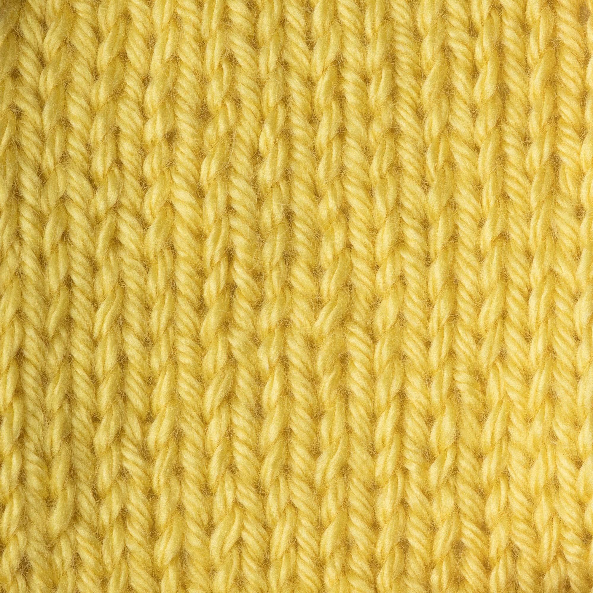 Caron Simply Soft, Lemonade, 170.1g - Image 3