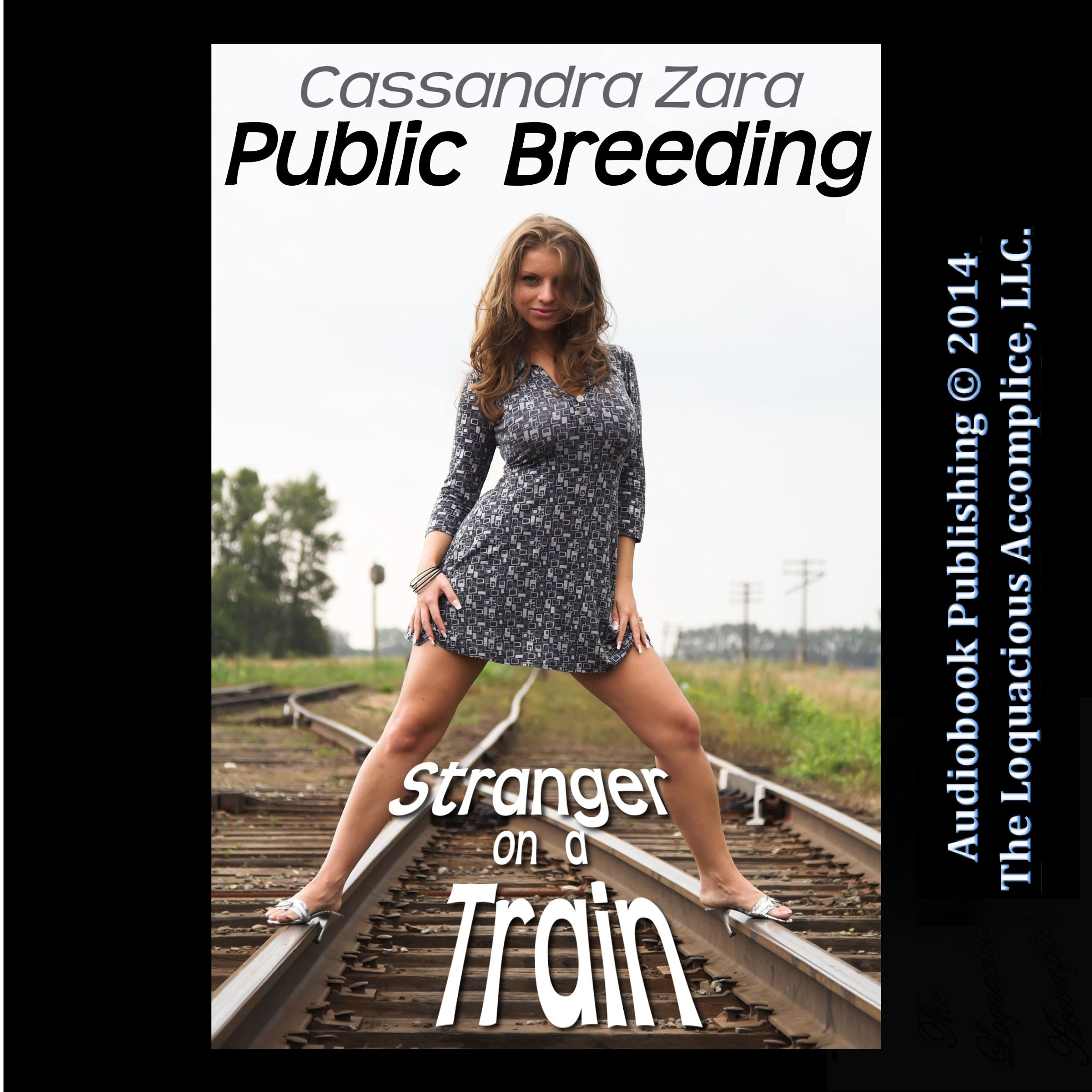 Fun in Public: Stranger on a Train