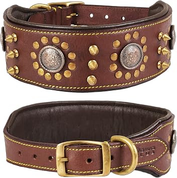 | Punk Series Genuine Leather Dog Collar | Full Grain, Saddle Grade, Heavy Duty | Luxury, Stylish, Comfortable, Best for Medium, Large, XL Breeds | L Neck Size 18.5"-22.5", Brown