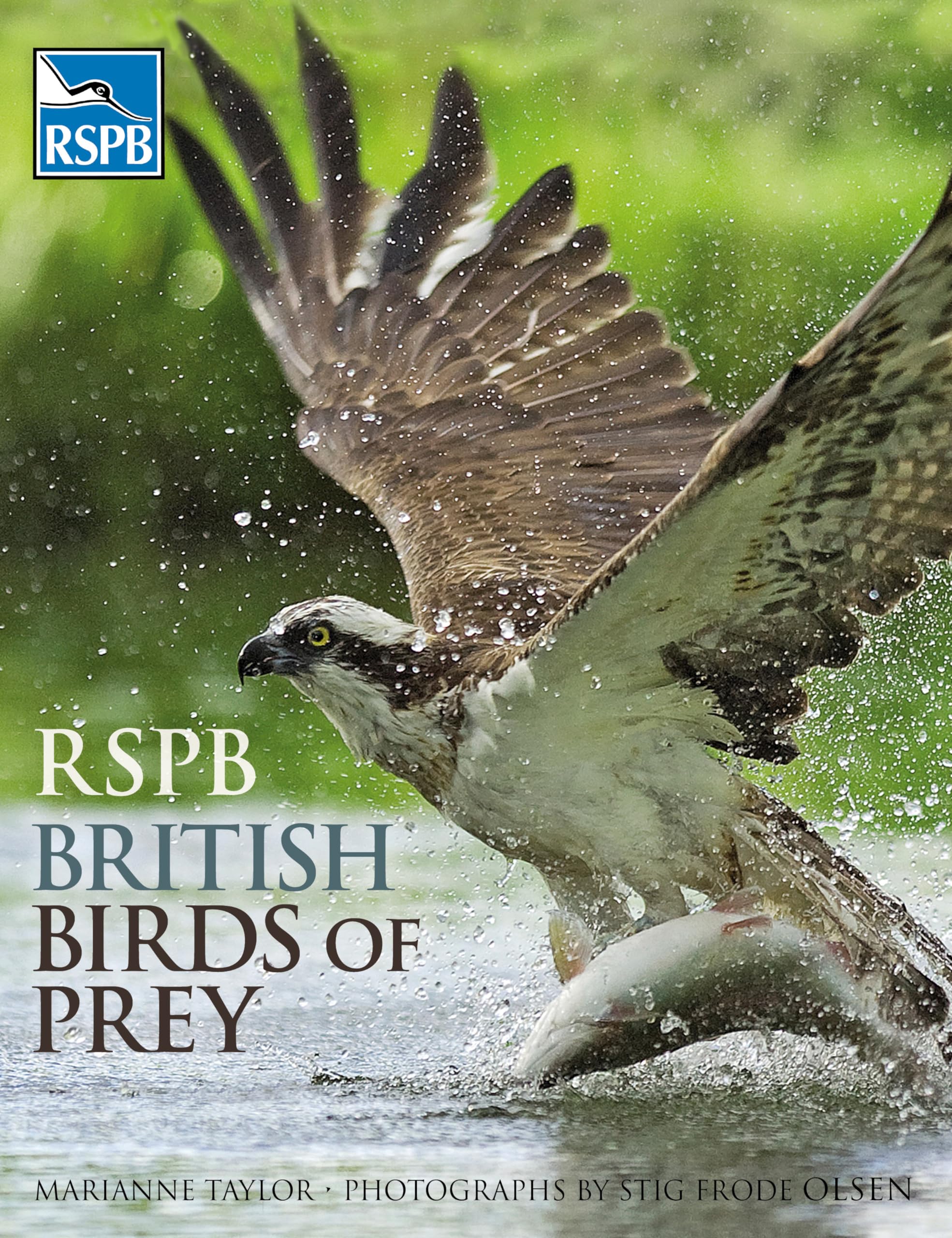 RSPB British Birds of Prey: Amazon.co.uk: Taylor, Marianne ...