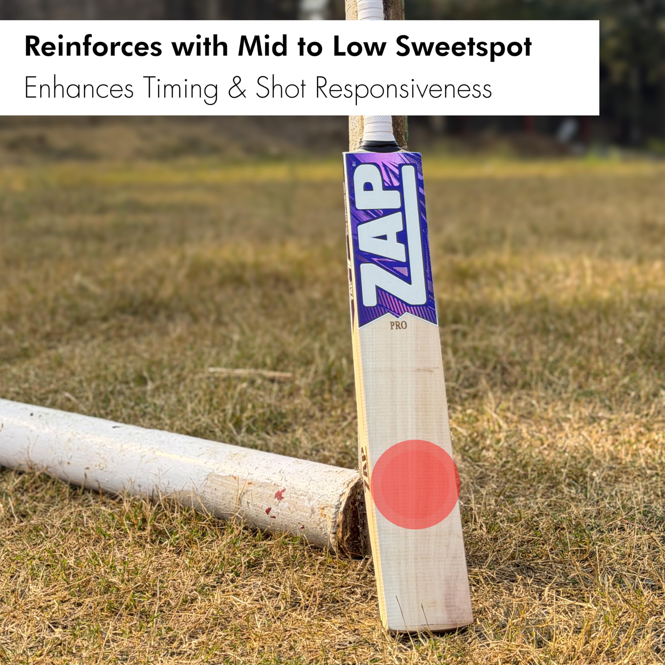 ZAP Pro Kashmir Willow Cricket Leather Bat (Size SH-Full (33.5in)) | Professional Cricket Bat for Leather Ball | Includes Scuff Sheet & Cover | Shock-Absorbing Handle | for 15+ Years 1