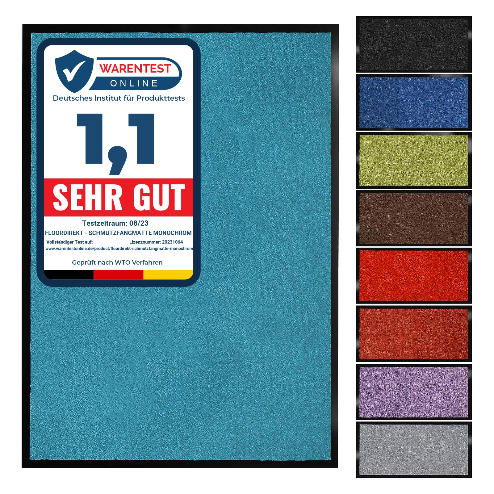 Floordirekt Schmutzfangmatte Monochrom | Fussmatte in 10 Größen & 8 Farben | Türmatte für innen & außen (40 x 60 cm, Türkis)
