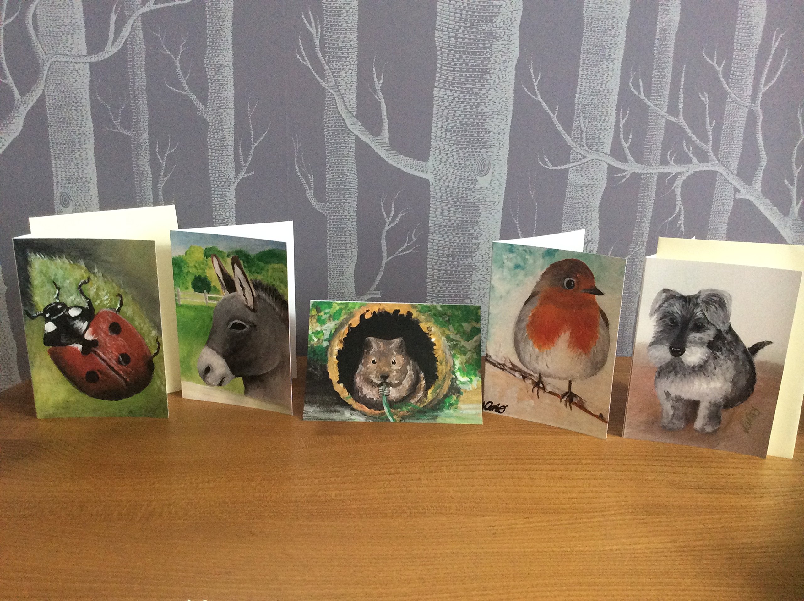Set of 5 Handpainted Greetings Cards Thank You Cards Ladybird Donkey Water Vole Robin Schnauser